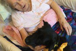PAT-Dog-Beanie-visiting-the-residents
