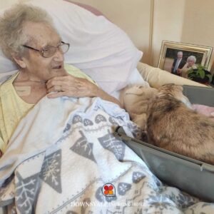 Downsvale Nursing Home