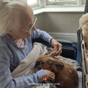 Downsvale Nursing Home