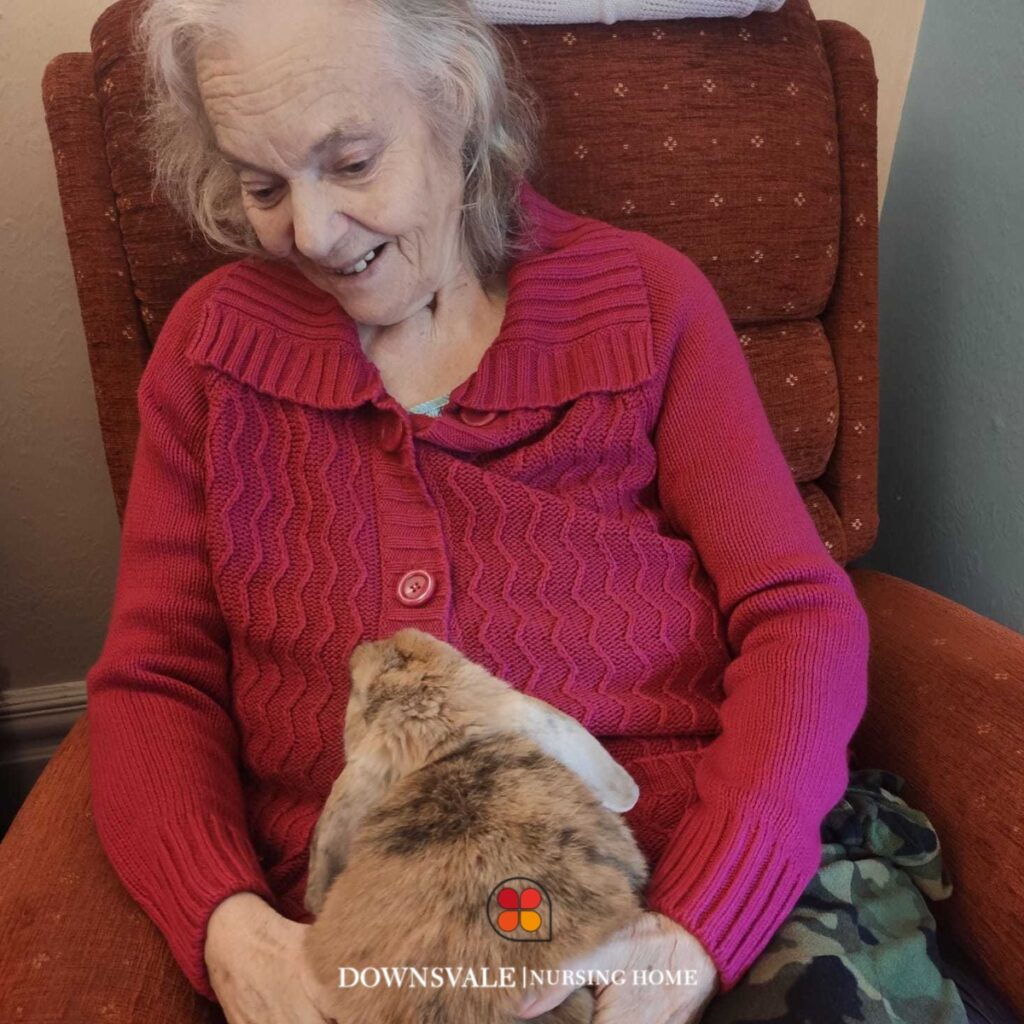 Downsvale Nursing Home