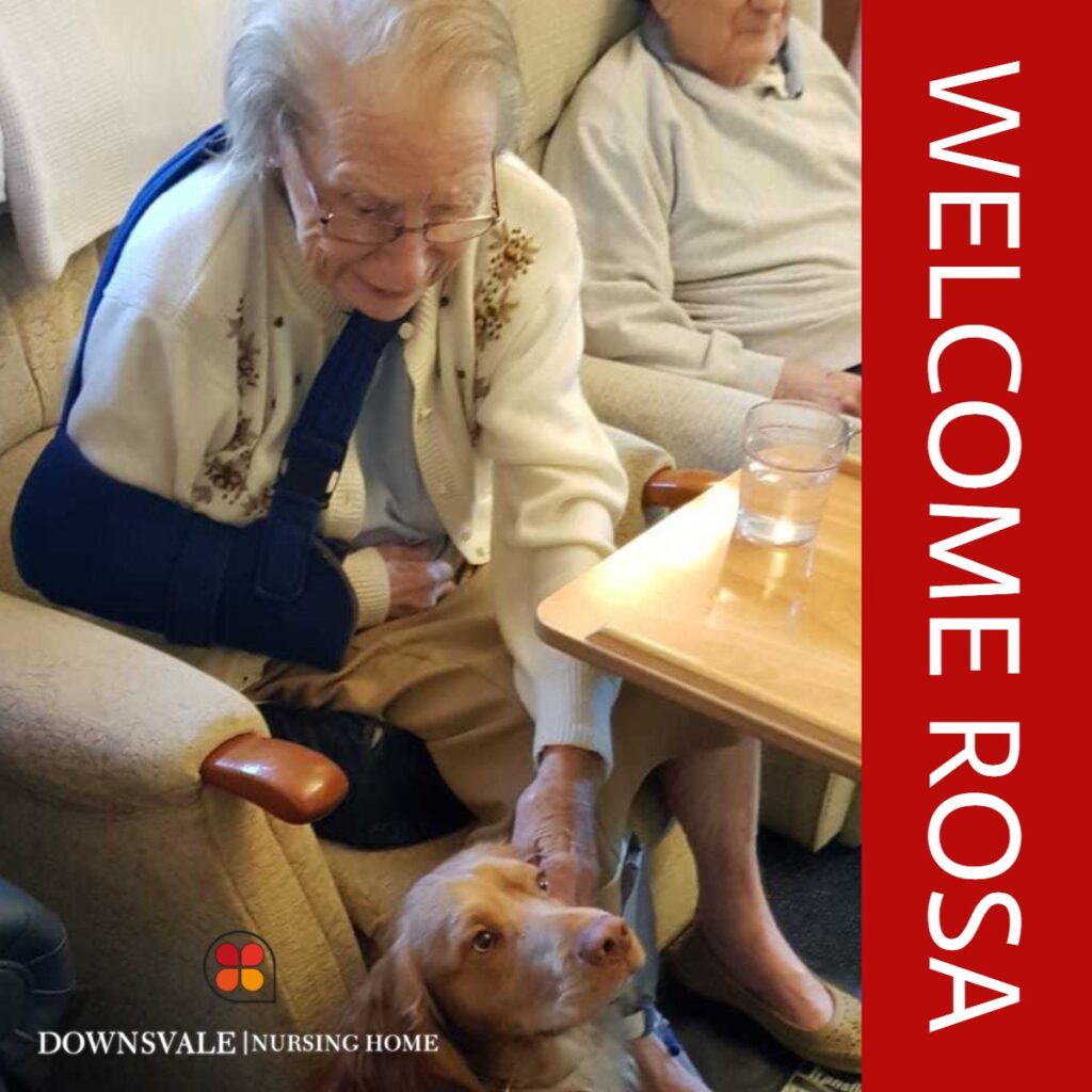 This week we have welcomed another new Face