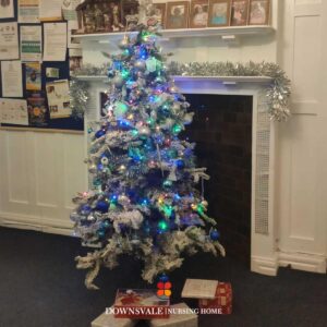 Christmas Decoration at Downsvale