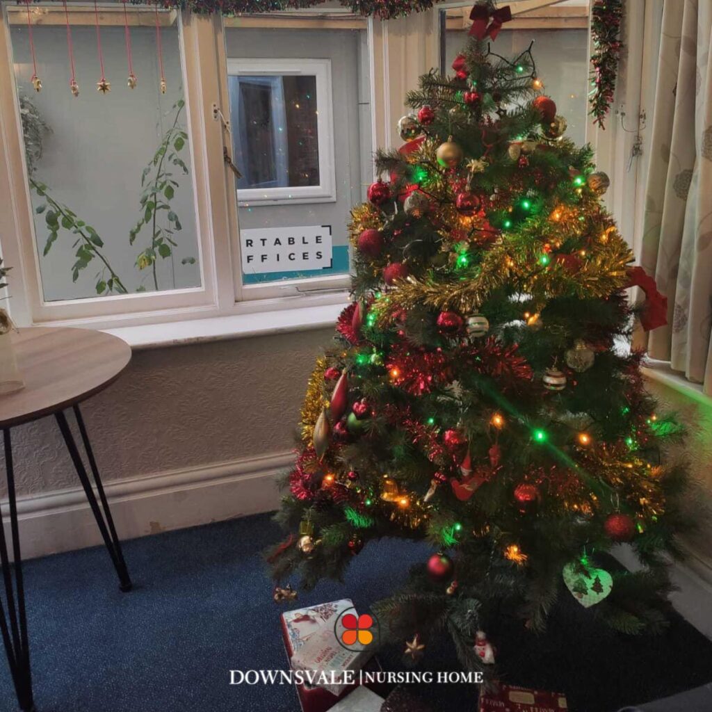 Christmas Decoration at Downsvale