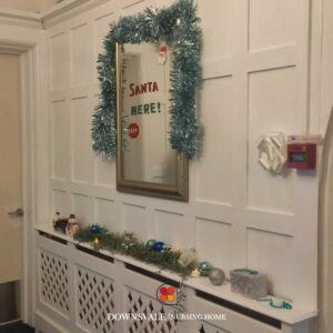 Christmas Decoration at Downsvale