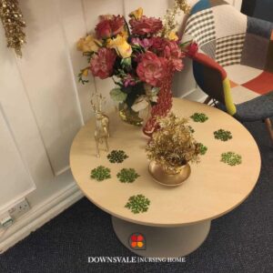 Christmas Decoration at Downsvale