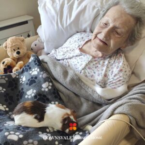 Downsvale nursing home in UK