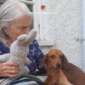 Nursing Home for Elders in UK
