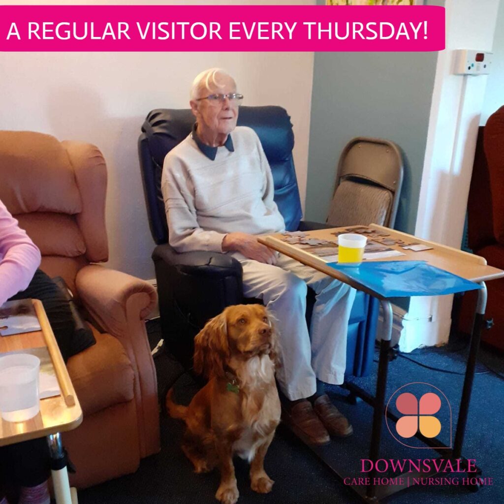 A Regular visitor every thursday at Downsvale