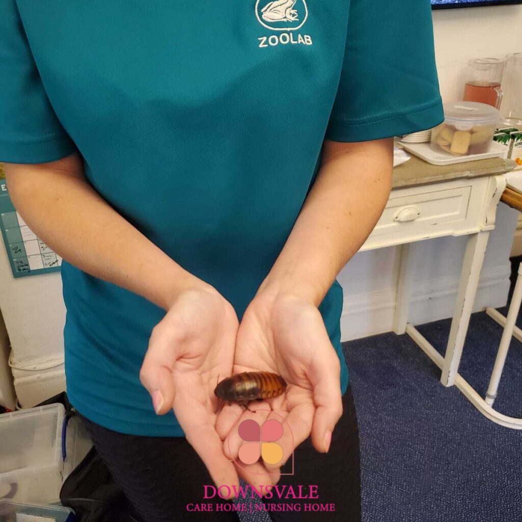 A Visit From Zoolab