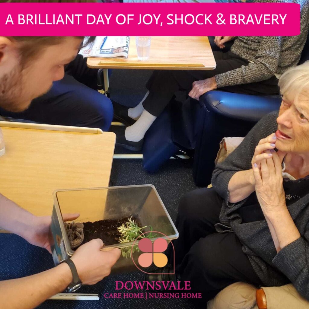 A brilliant day of joy, Shock & Bravery