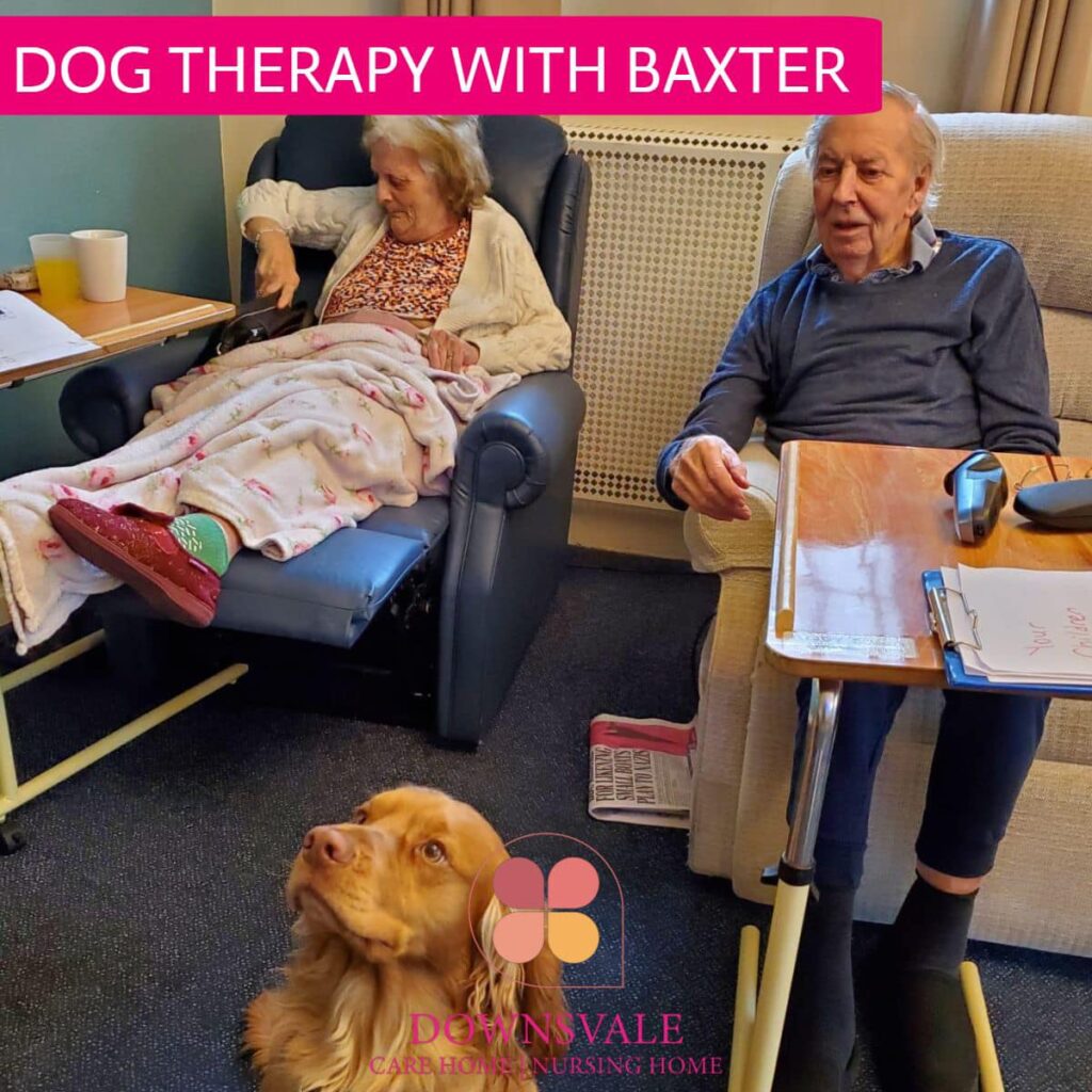 Dog therapy with Baxter at Downsvale