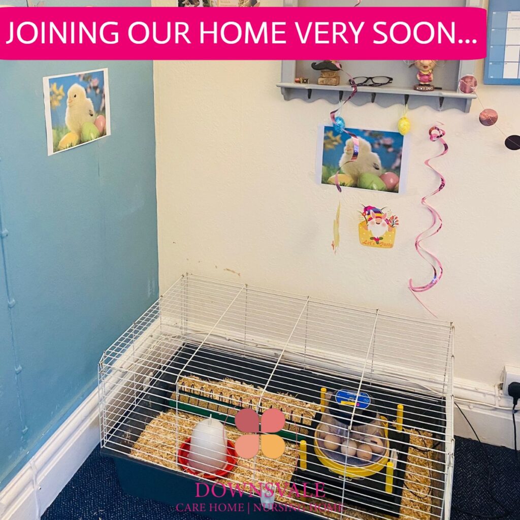 Joining our Home Very Soon