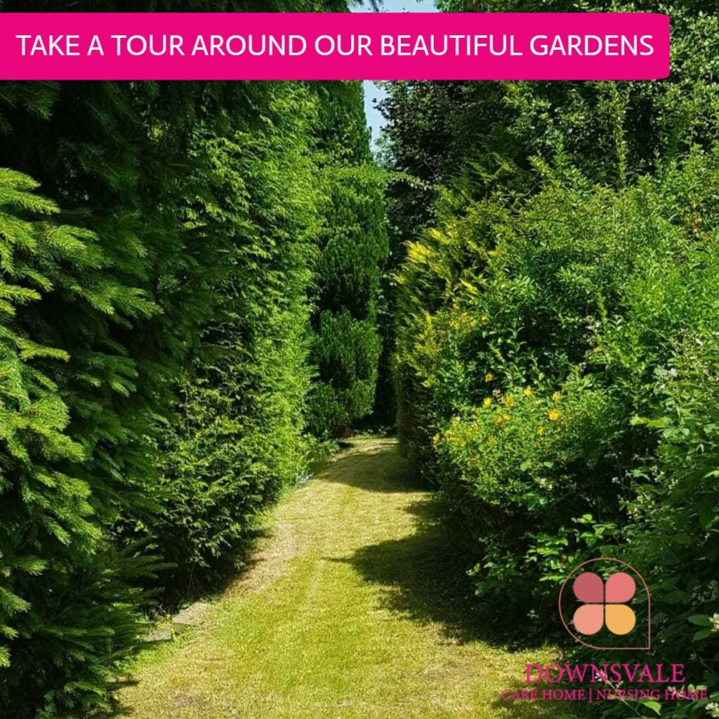 Take a Tour Around Our Beautiful Gardens