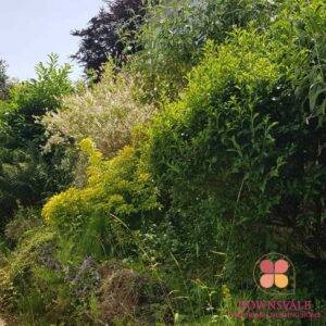 Take a Tour Around Our Beautiful Gardens