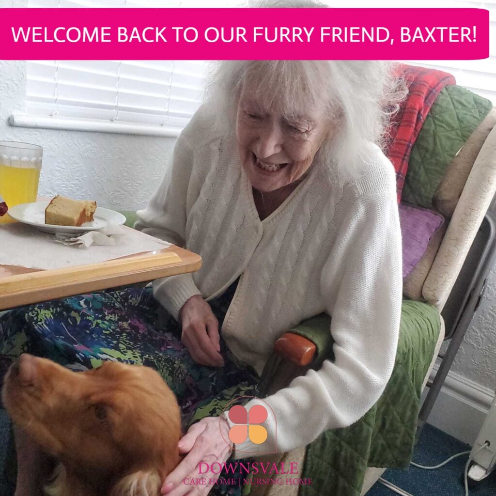 Welcome back to our furry Friend, Baxter