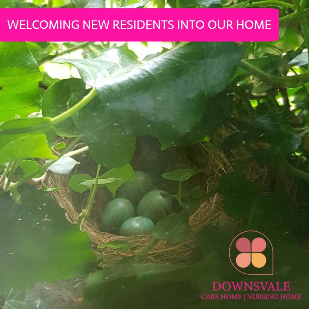 Welcoming new residents into our home