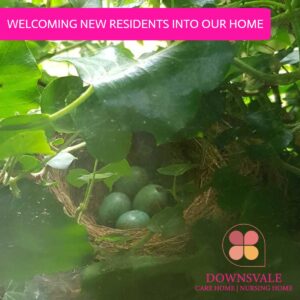 Welcoming new residents into our home