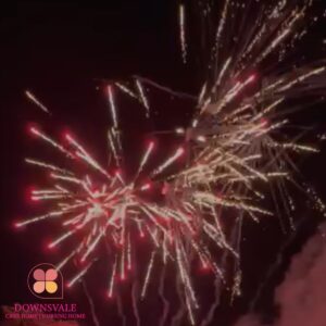 A Brilliant week full of celebrations at Downsvale