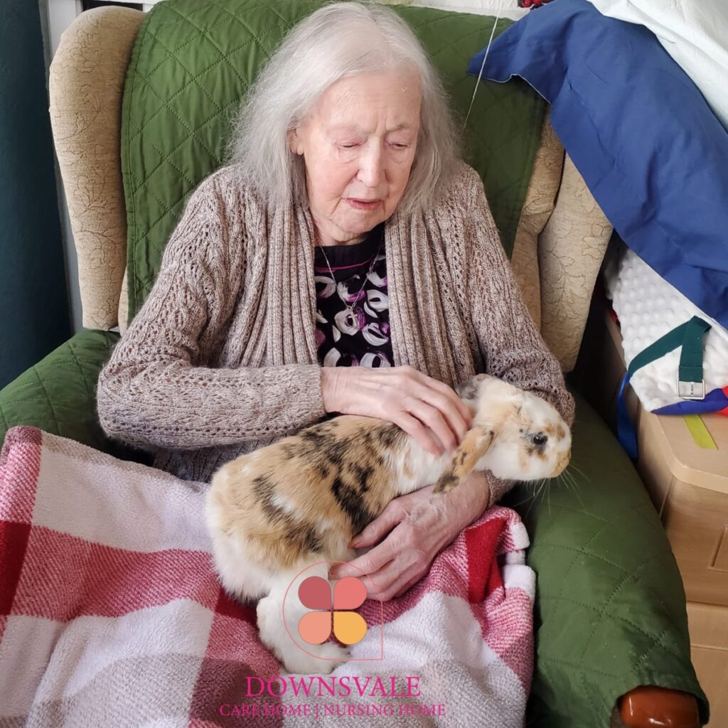 Bunny Fun at Downsvale Nursing Home