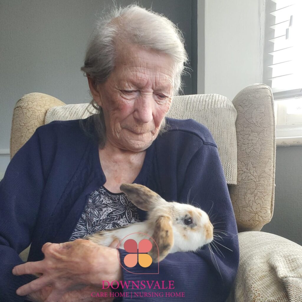 Bunny Fun at Downsvale Nursing Home