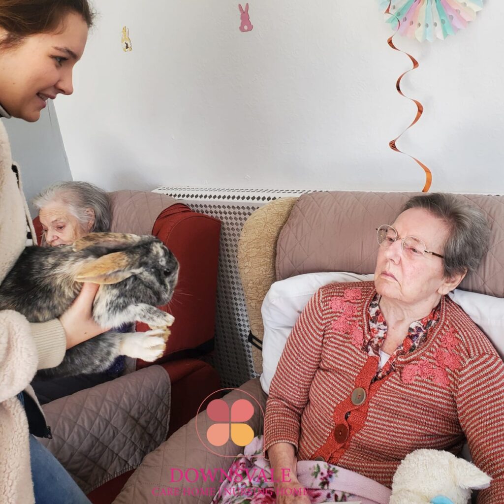 Bunny Fun at Downsvale Nursing Home