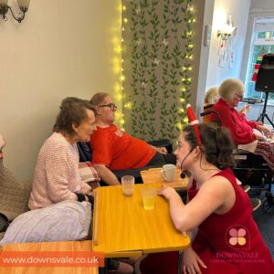 A Magical Christmas at Downsvale Nursing Home
