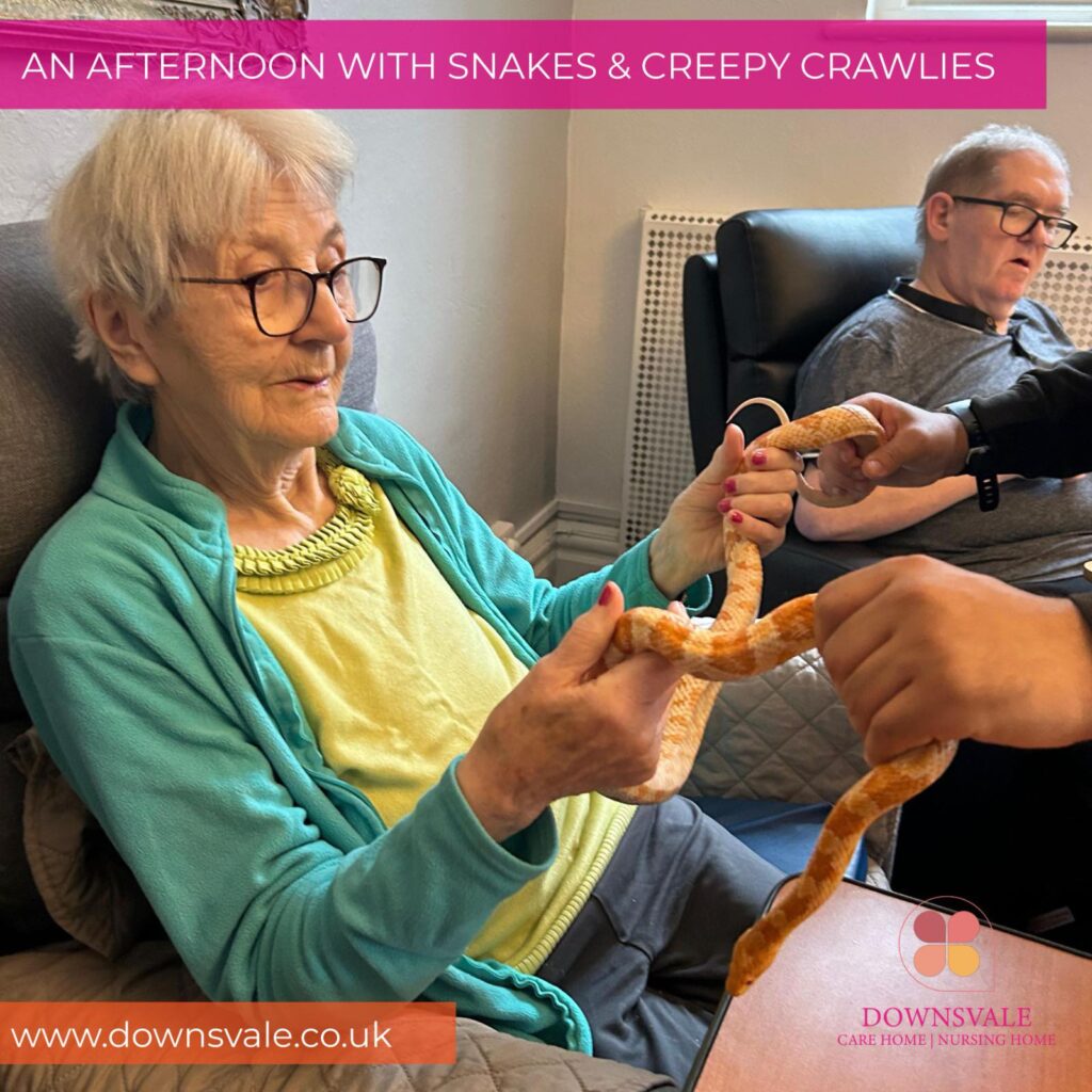 Snakes, Creepy Crawlies and New Friends at Downsvale!