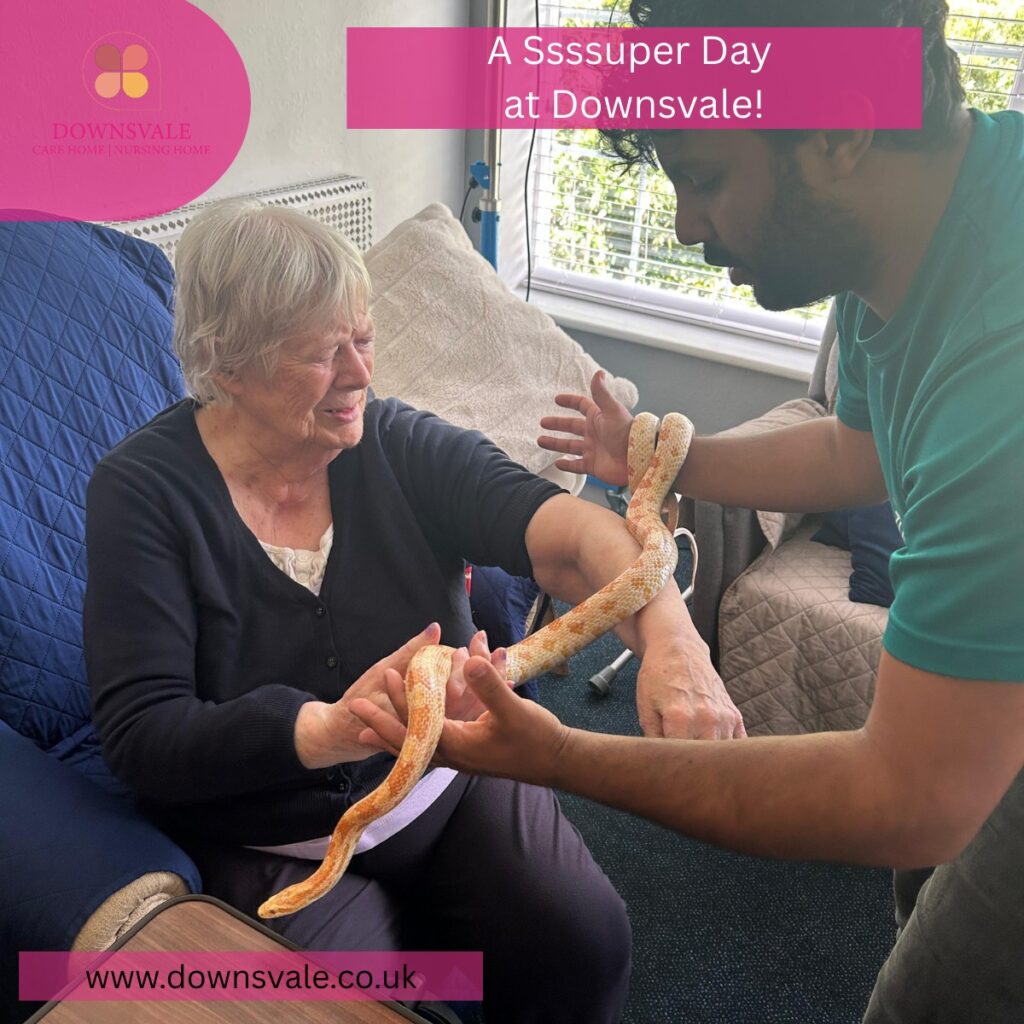 A Ssssuper Day at Downsvale