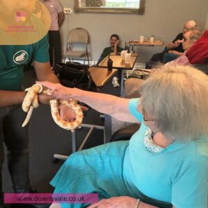 A Ssssuper Day at Downsvale