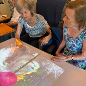 Two elderly residents enjoying an interactive touch table activity with colourful wildlife images in a care home.