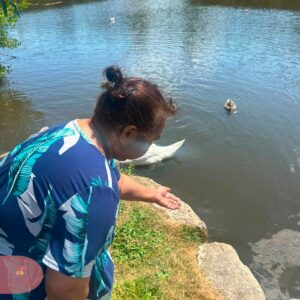 Carer feeding swans beside a calm lakeside.