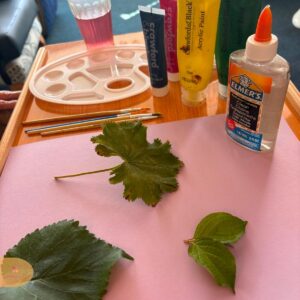 Art supplies and leaves prepared for a craft activity.
