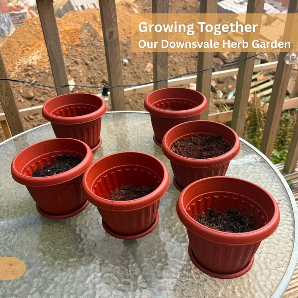 Downsvale herb garden pots ready for planting.